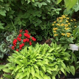 Grannies Garden at museum 